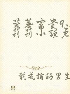 荣华富贵9小王莉莉小说免费阅读