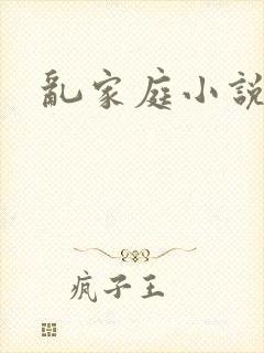 乱家庭小说封面