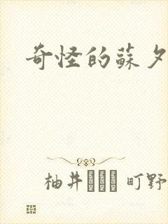 奇怪的苏夕封面