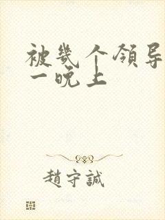 被几个领导玩弄一晚上