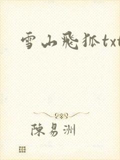 雪山飞狐txt封面