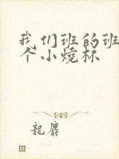 我们班的班花是个小烧杯封面