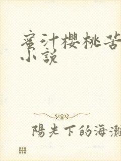 蜜汁樱桃苦咖啡小说封面