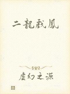 二龙戏凤