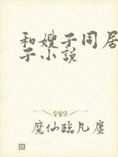 和嫂子同居的日子小说封面