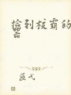 捡到校霸的遥控器封面