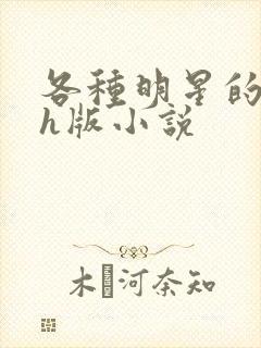 各种明星的综艺h版小说