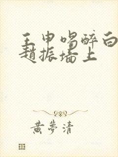 王申喝醉白洁被赵振墙上封面