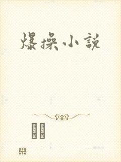 爆操小说
