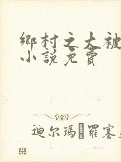 乡村之大被同眠小说免费