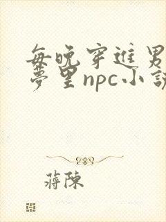 每晚穿进男神的梦里npc小说