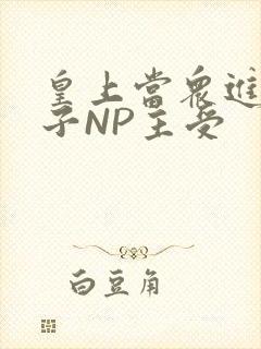 皇上当众进入太子NP主受