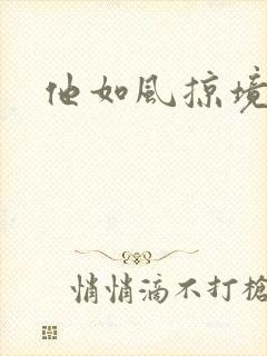 他如风掠境