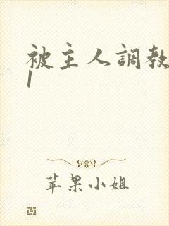 被主人调教1v1