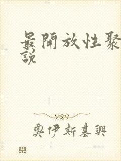 最开放性聚会小说