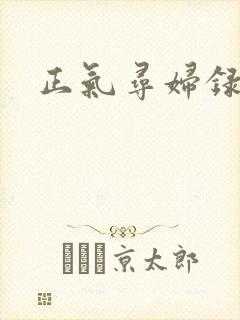 正气寻妇录封面
