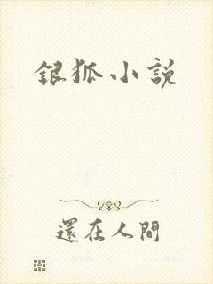 银狐小说