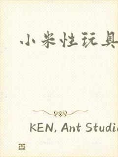 小米性玩具日记