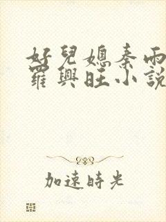 好儿媳秦雨罗明罗兴旺小说