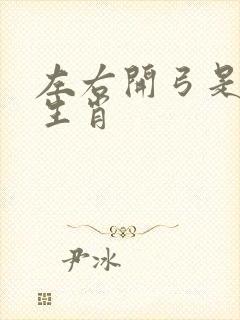 左右开弓是什么生肖封面