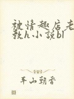 被情趣店老板调教h小说bl