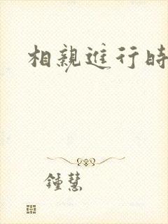 相亲进行时封面