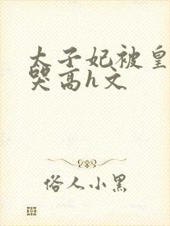 太子妃被皇上c哭高h文