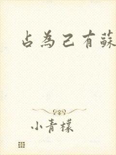 占为己有苏静初封面