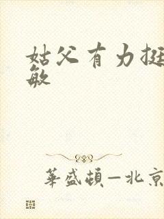 姑父有力挺送赵敏