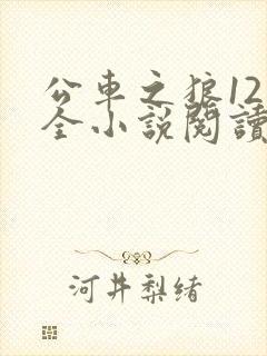 公车之狼12集全小说阅读