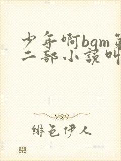 少年啊bgm第二部小说叫什么封面