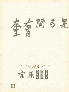 左右开弓是什么生肖