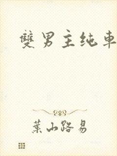 双男主纯车骨科