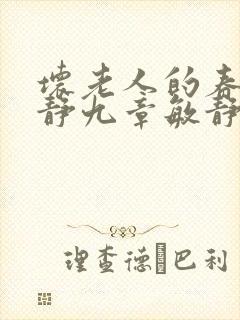 坏老人的春天敏静九章敏静封面