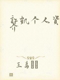 许凯个人资料简介