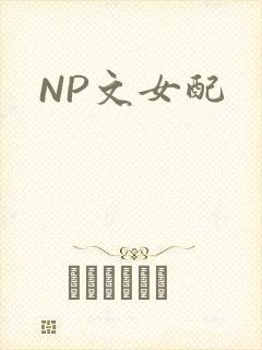 NP文女配