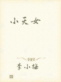 小天女封面