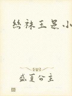 丝袜玉足小说封面