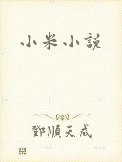 小米小说