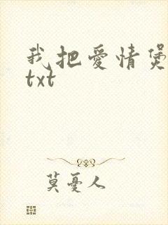 我把爱情煲成汤txt