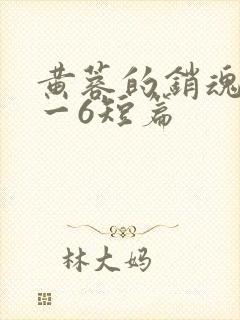 黄蓉的销魂夜1一6短篇封面