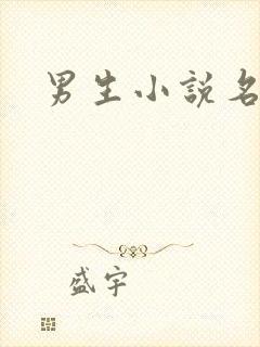 男生小说名字