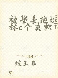 被学长抱进小树林c个爽软件封面