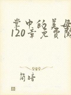 掌中的美母版主120章免费阅读