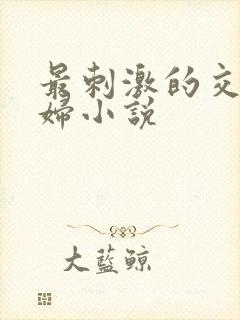 最刺激的交换夫妇小说