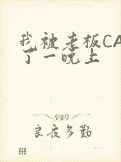 我被老板CAO了一晚上封面