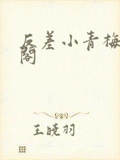 反差小青梅笔趣阁