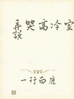 弄哭高冷室友小说