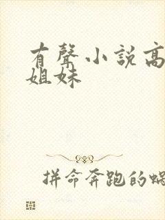 有声小说高树三姐妹封面