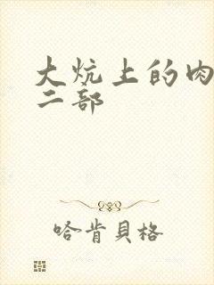 大炕上的肉伦第二部